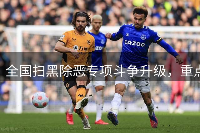 全国扫黑除恶专项斗争升级，重点打击新型网络黑恶势力